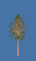 greenshift tree