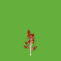 greenshift tree