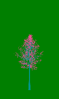greenshift tree