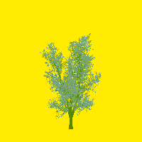 greenshift tree