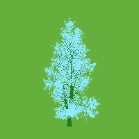 greenshift tree