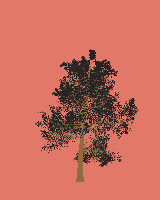 greenshift tree