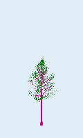 greenshift tree