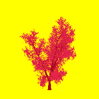 greenshift tree
