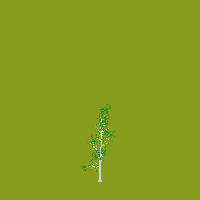 greenshift tree