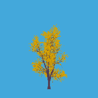greenshift tree