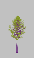 greenshift tree