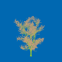 greenshift tree