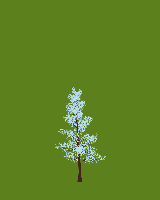 greenshift tree
