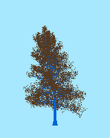 greenshift tree