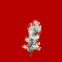 greenshift tree