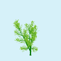 greenshift tree