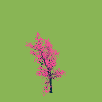 greenshift tree