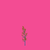 greenshift tree
