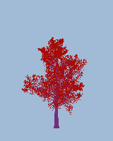 greenshift tree
