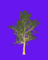 greenshift tree