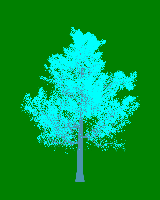 greenshift tree