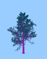 greenshift tree