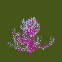 greenshift tree