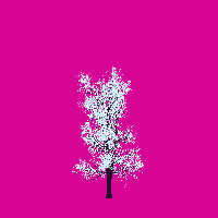greenshift tree