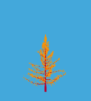 greenshift tree