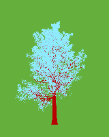 greenshift tree