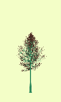 greenshift tree