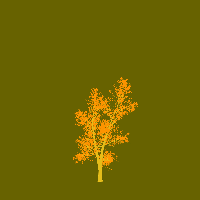 greenshift tree