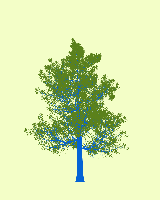 greenshift tree