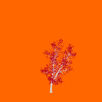 greenshift tree