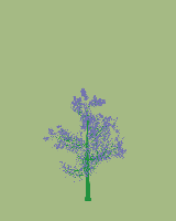 greenshift tree