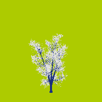 greenshift tree
