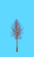 greenshift tree