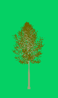 greenshift tree