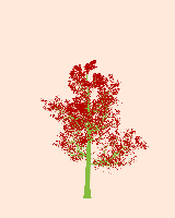 greenshift tree