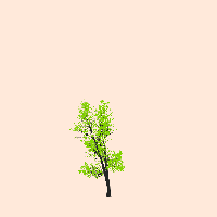 greenshift tree
