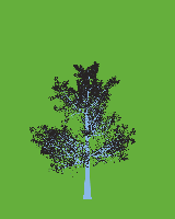 greenshift tree