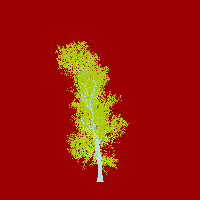 greenshift tree