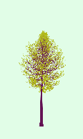 greenshift tree