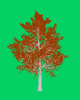 greenshift tree