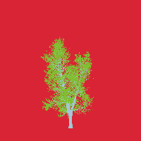 greenshift tree
