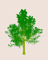 greenshift tree