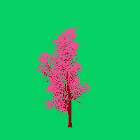 greenshift tree