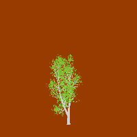 greenshift tree
