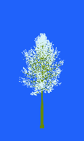 greenshift tree