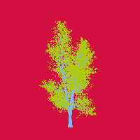 greenshift tree