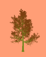 greenshift tree