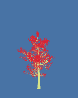 greenshift tree