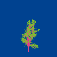 greenshift tree