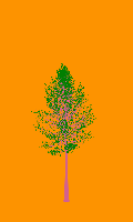 greenshift tree